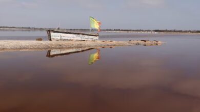 جفاف البحيرة الوردية فى السنغال