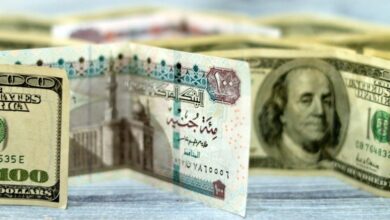 سعر الدولار مقابل الجنيه المصري في بداية تعاملات اليوم الخميس 1 مايو 2025