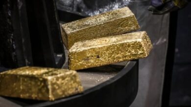 اقتصاد: الذهب يتجه نحو خسارة أسبوعية مع ارتفاع الدولار