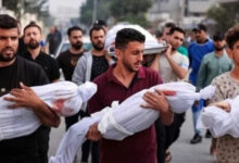 الصحة بغزة: 82 شهيدًا و262 مصابًا وصلوا إلى المستشفيات خلال 24 ساعة