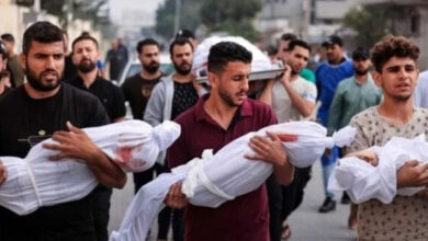 الصحة بغزة: 82 شهيدًا و262 مصابًا وصلوا إلى المستشفيات خلال 24 ساعة